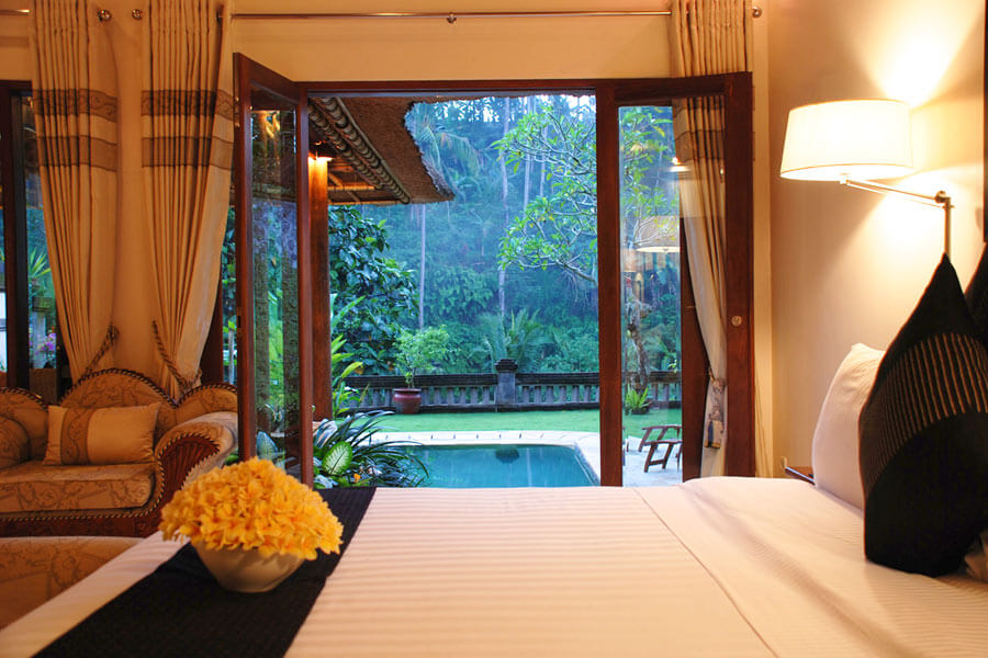 Elephant pool villa with jungle view