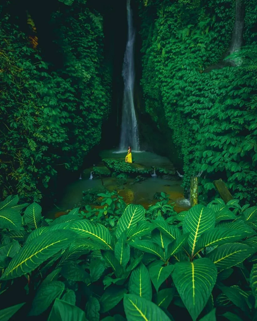 Bali Waterfall in Ubud area