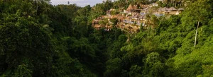 Viceroy Bali - Landscape