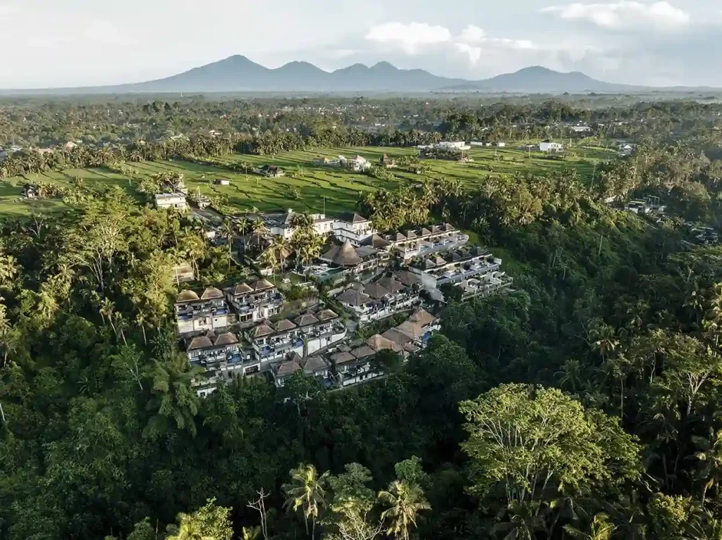Aerial view of luxury villas over tropical jungle.