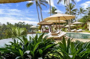 Luxury poolside loungers under umbrellas with jungle views.