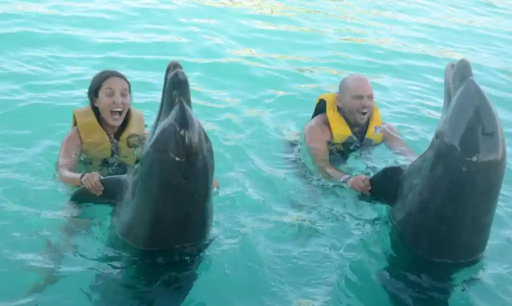 A joyful man and woman wearing yellow life jackets in bright turquoise water, each smiling widely as they interact face-to-face with a dolphin, highlighting the unforgettable marine excursions often booked through resorts in bali.