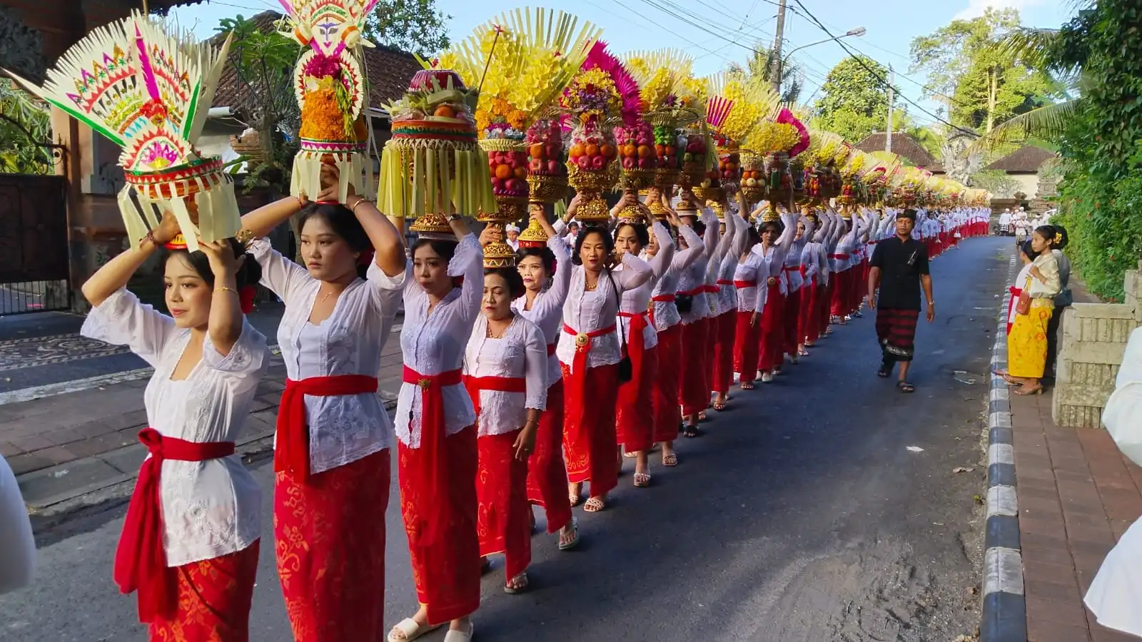 A traditional Balinese ceremonial parade on a sunny day. A long line of women stretches far down the street, all dressed in matching traditional attire: white lace kebaya shirts, red waist sashes, and red sarongs. They are balancing elaborate, multi-tiered gebogan offerings on their heads, stacked high with fresh fruits, colorful flowers, and woven palm leaves.