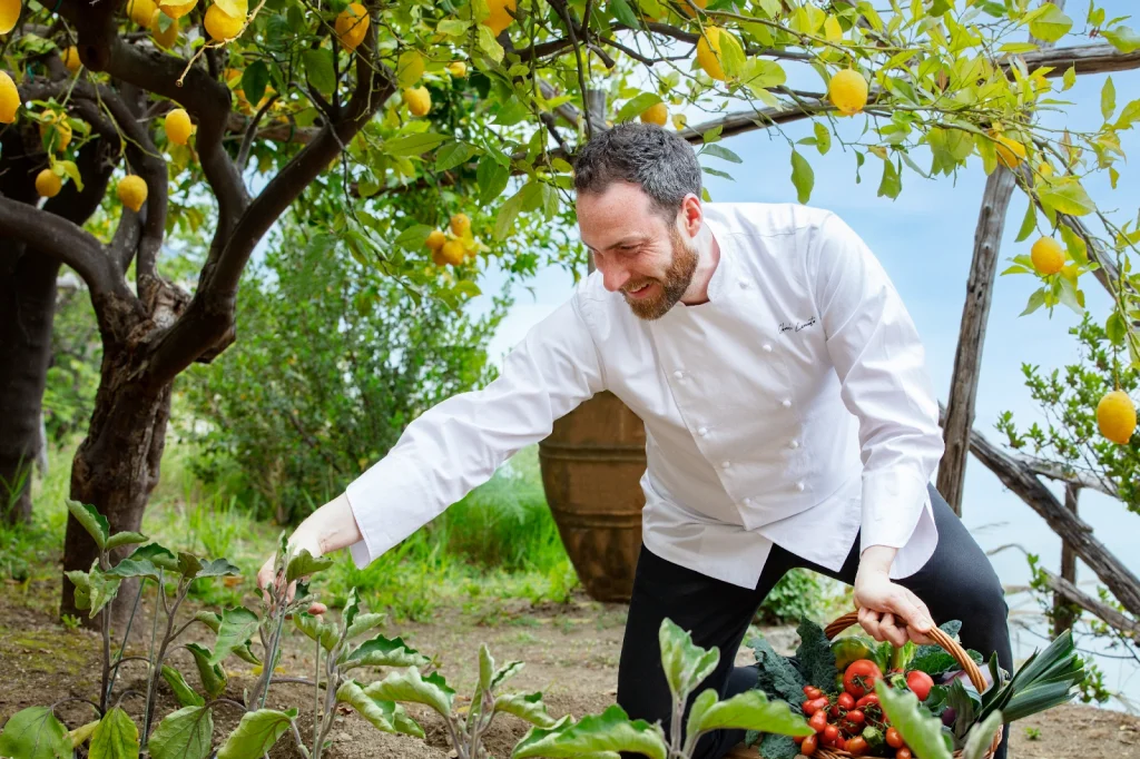 Chef harvesting fresh vegetables in a lemon grove