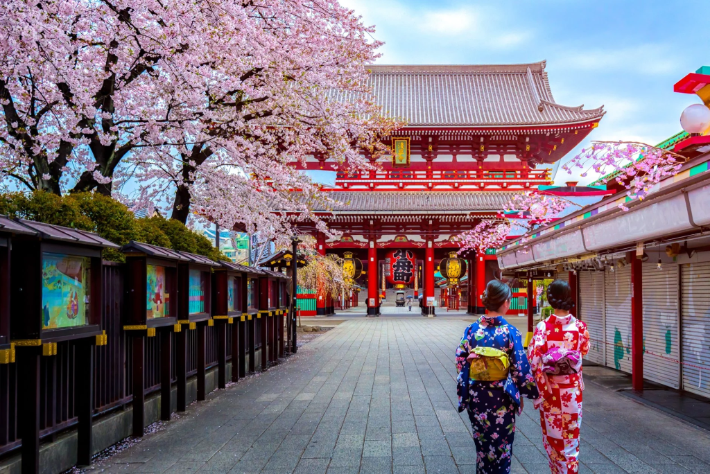 Two Japanese women walking along a street with cherry blossom tree and traditional temple