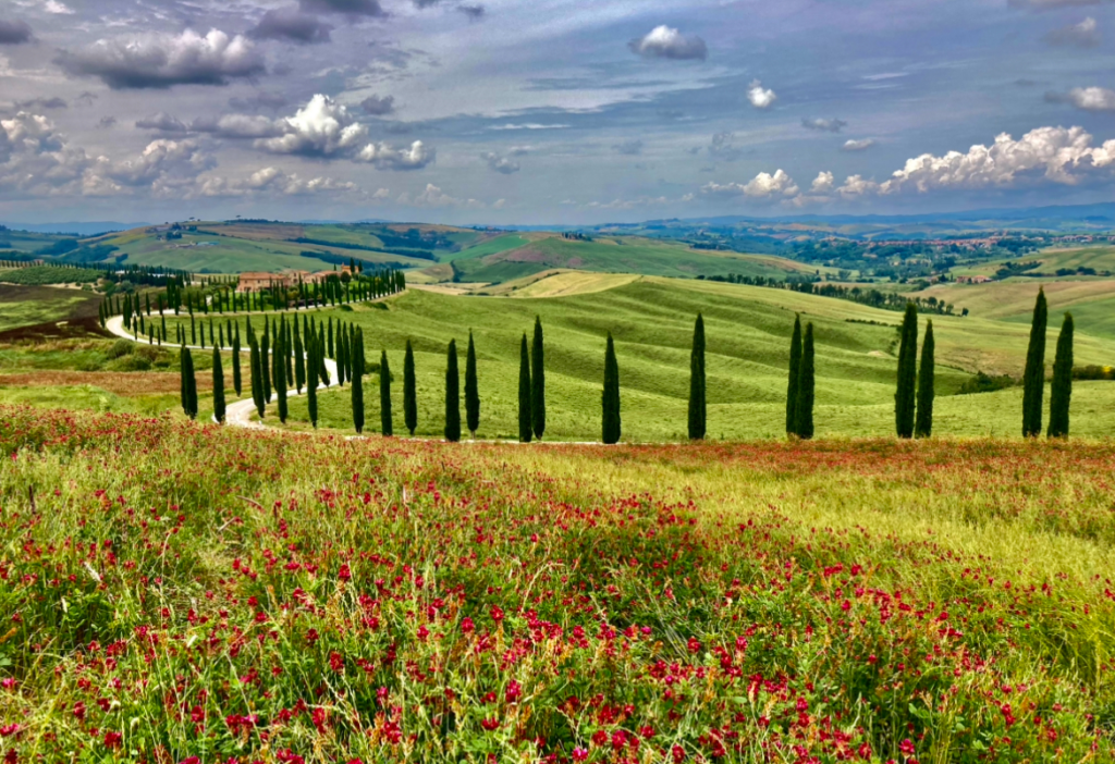 The countryside of Tuscany Italy