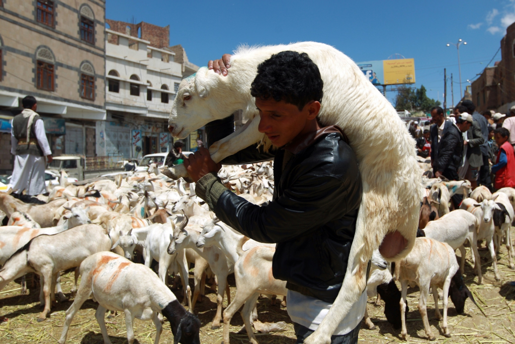 A man holding a goat with goats and people in the background