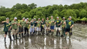 Biodiversity Program Mangrove Plantation
