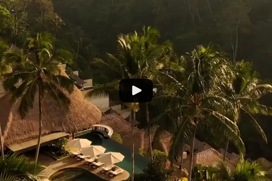 Watch our video