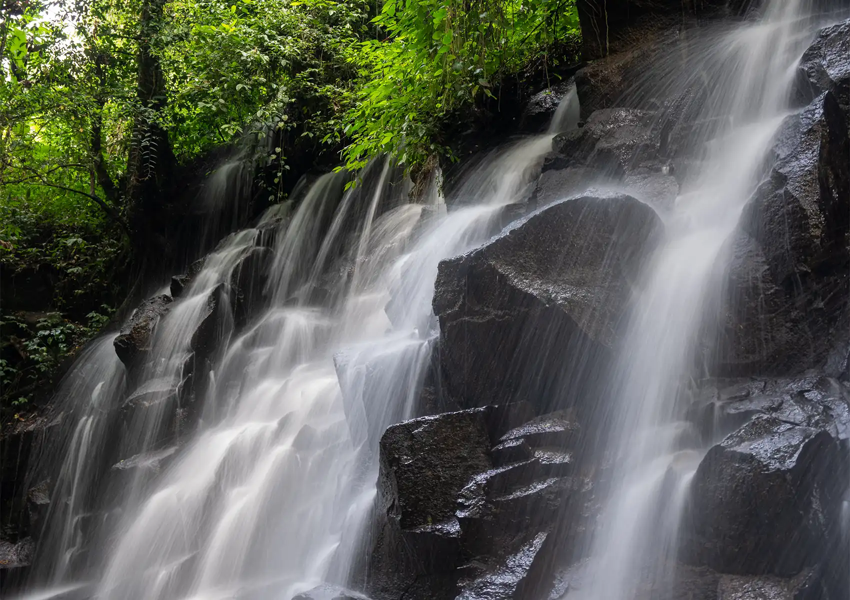 A beautiful waterfall cascading smoothly over dark, jagged rocky ledges surrounded by lush green jungle foliage, representing the pristine natural beauty preserved by sustainable travel Bali.
