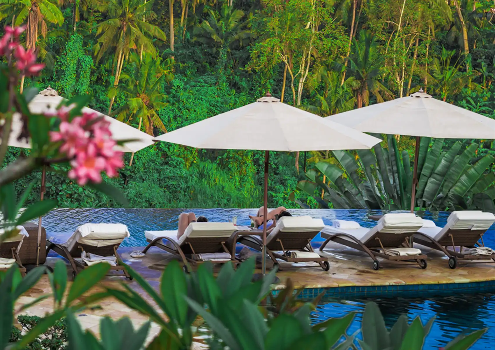 Guests relaxing on white sun loungers under umbrellas by an infinity pool overlooking a dense, tropical green jungle at a boutique hotel bali.