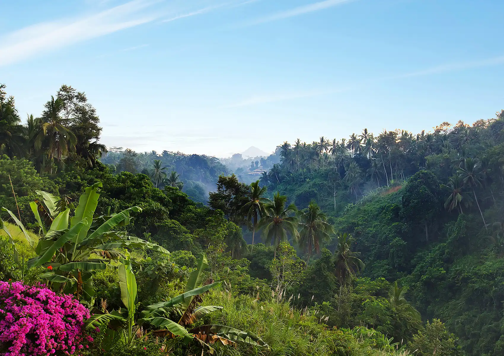 A scenic morning view of a lush tropical jungle valley with palm trees and vibrant pink flowers surrounding a boutique hotel in Ubud