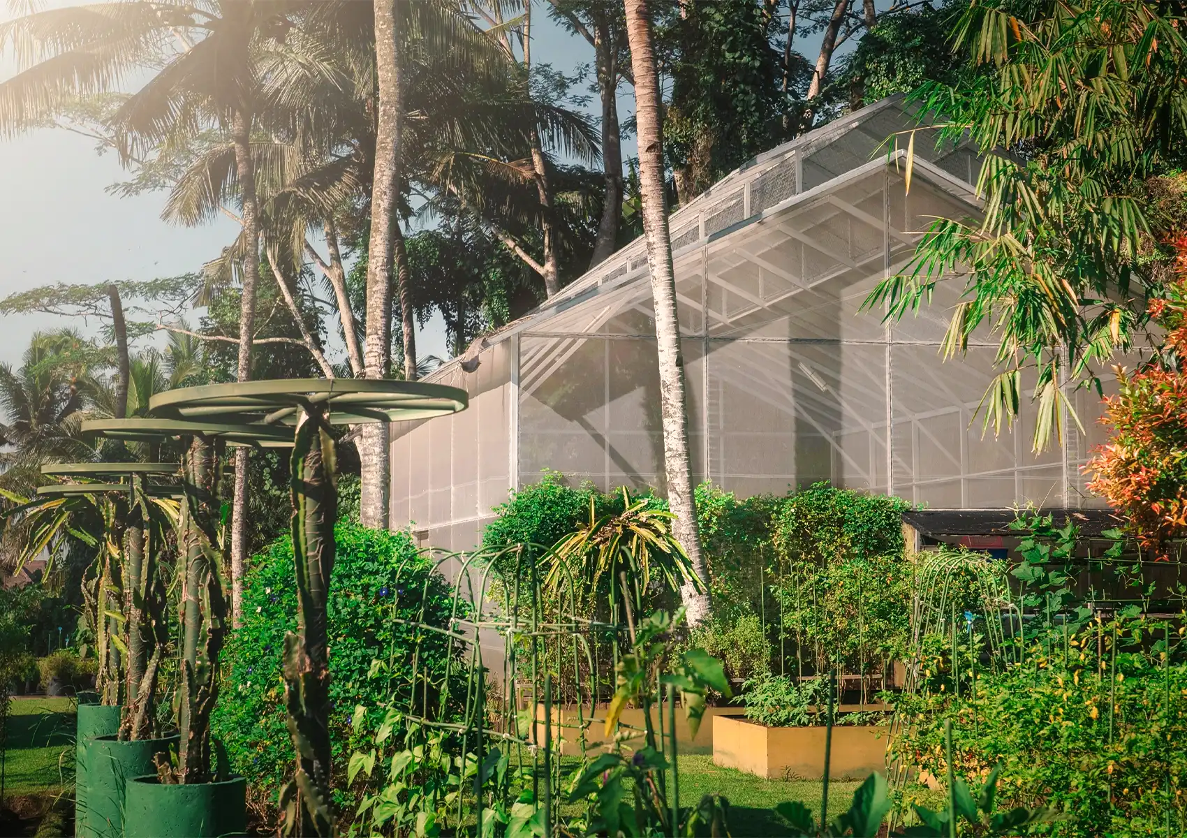 A large, modern greenhouse surrounded by lush tropical gardens, tall palm trees, and various cultivated plants at a boutique hotel bali.